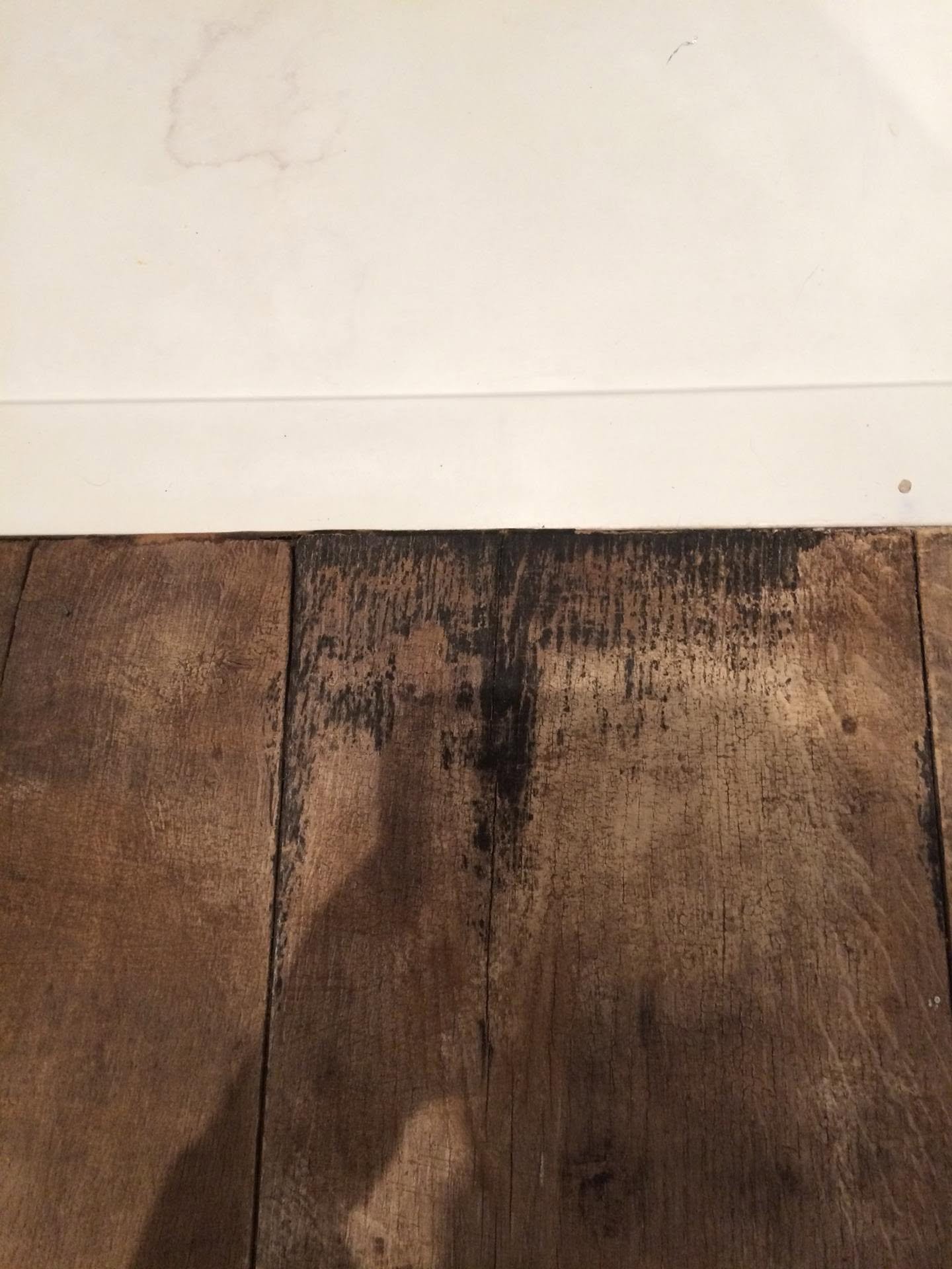 493951987_976757227955987_5171003238607920065_n